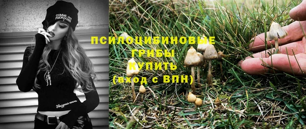 мяу мяу мука Кукмор