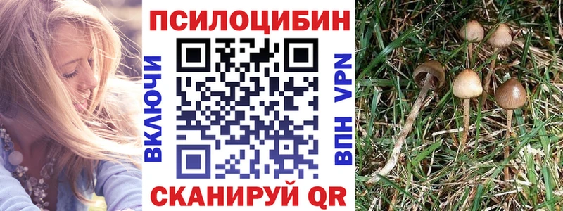 наркошоп  Углич  Псилоцибиновые грибы Magic Shrooms 