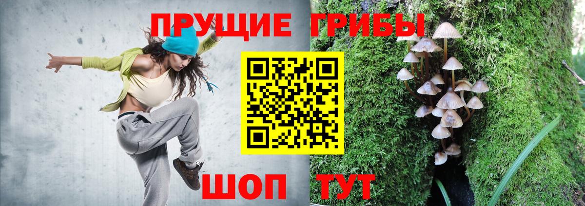 Псилоцибиновые грибы GOLDEN TEACHER  Вход с VPN  Углич 