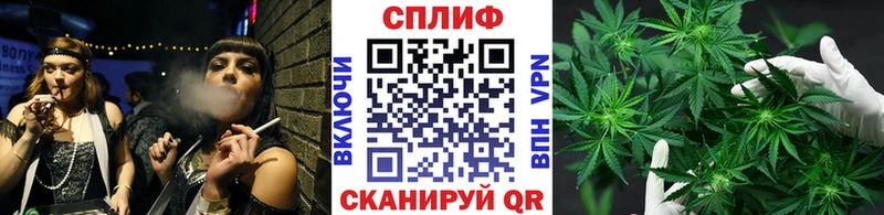 Бошки марихуана MAZAR  как найти наркотики  гидра   Углич 